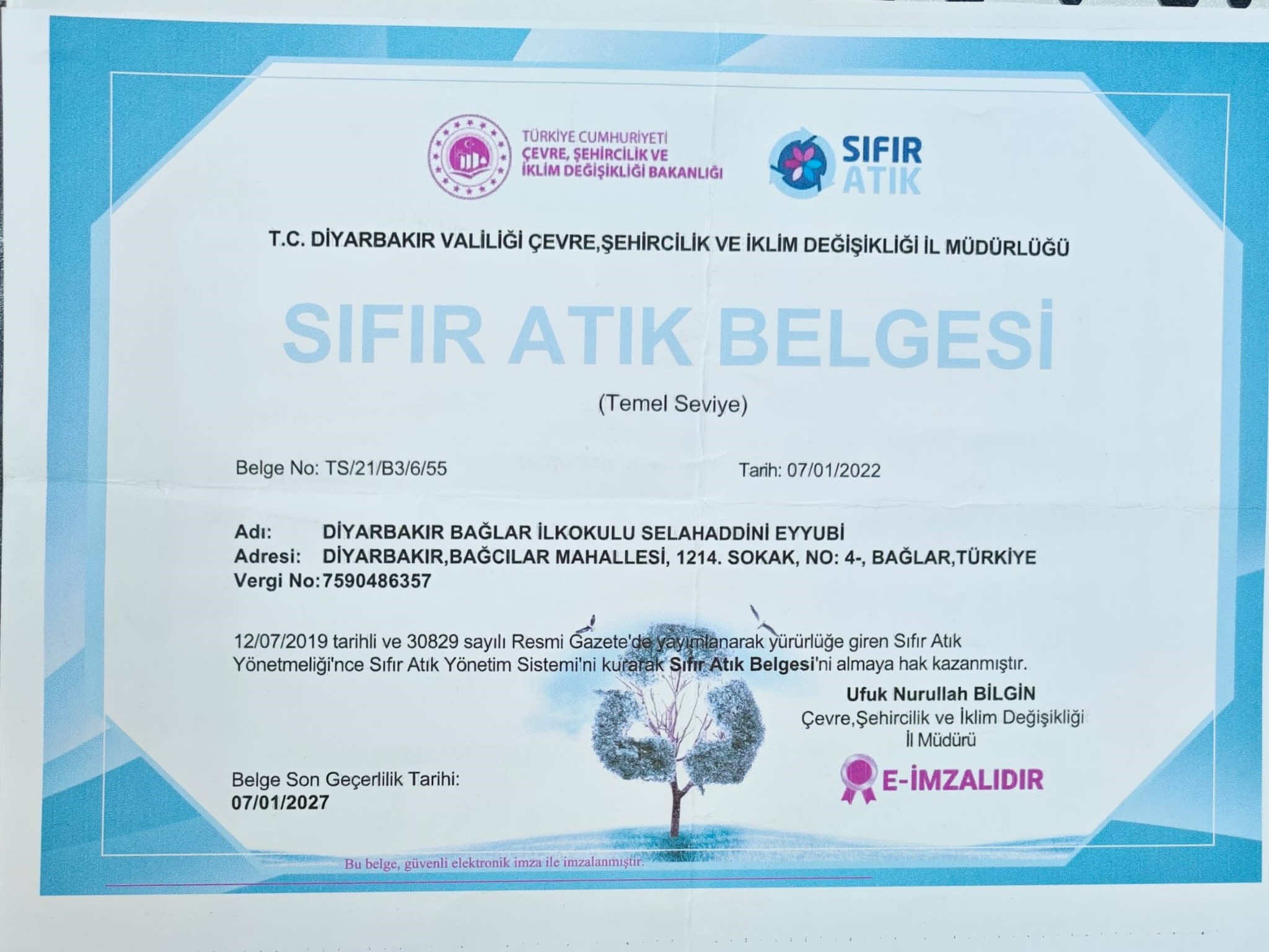 Proje